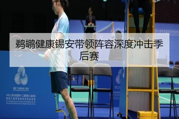 鹈鹕健康锡安带领阵容深度冲击季后赛