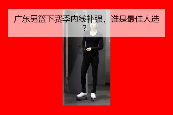 广东男篮下赛季内线补强，谁是最佳人选？